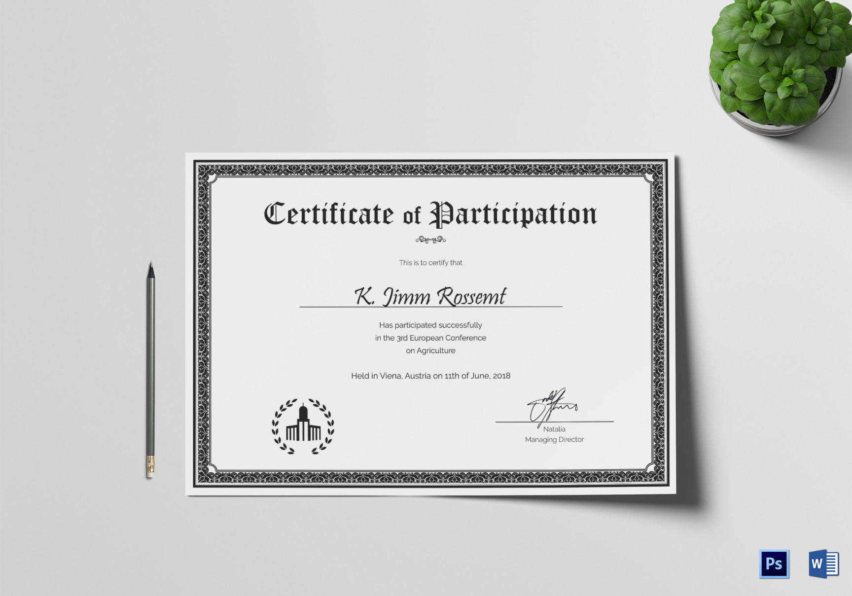 Conference Participation Certificate Design Template in PSD, Word