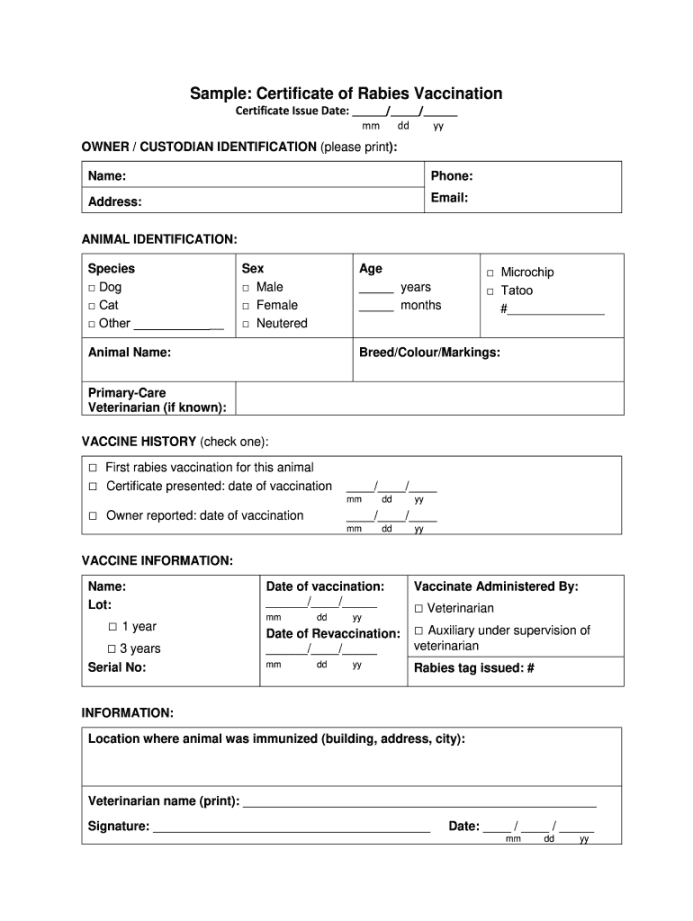 Dog rabies vaccination certificate: Fill out & sign online  DocHub