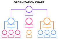 A Comprehensive Guide To Free Blank Organizational Chart Templates