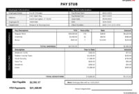 Blank Pay Stub Template In Microsoft Word Format