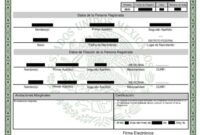 Spanish To English Birth Certificate Translation Template